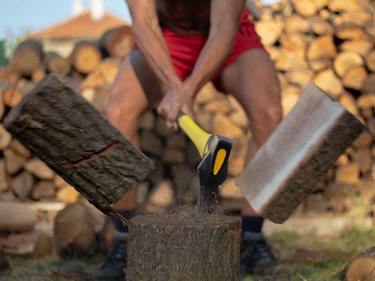 Best Palm Tree Trimming  in Fruit Cove, FL